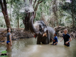 KHAOSOK ELEPHANT SANCTUARY