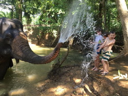 KHAOSOK ELEPHANT SANCTUARY